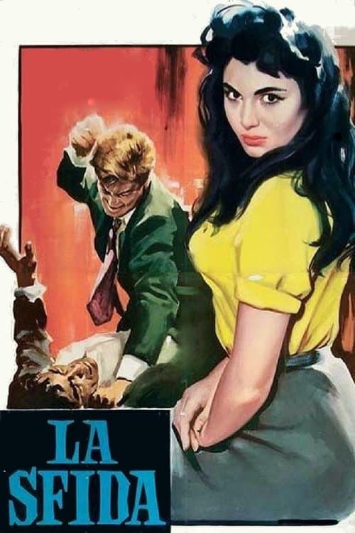 Director's Movie Image