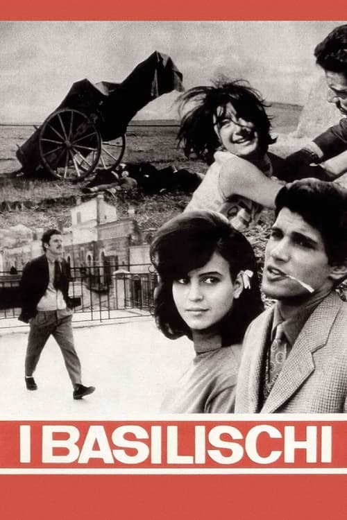 Director's Movie Image