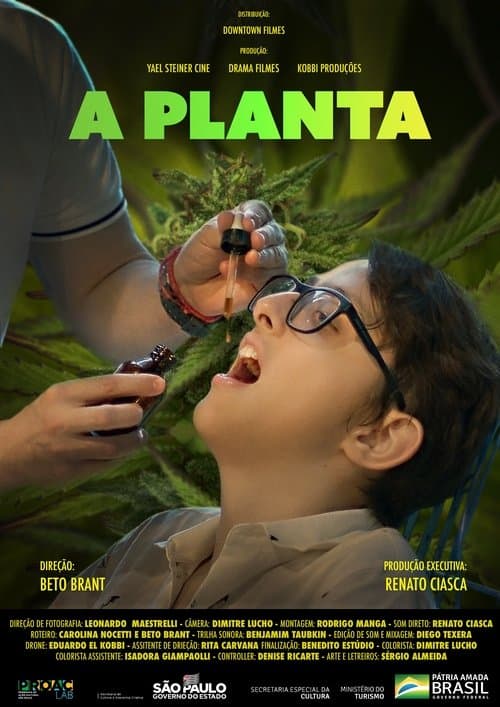 Director's Movie Image