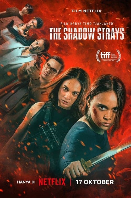 Director's Movie Image