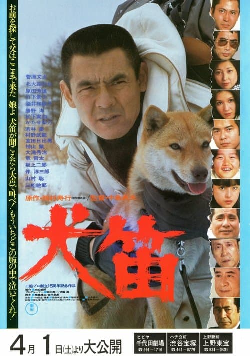 Director's Movie Image