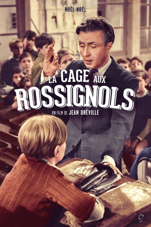 Director's Movie Image