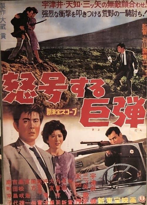 Director's Movie Image