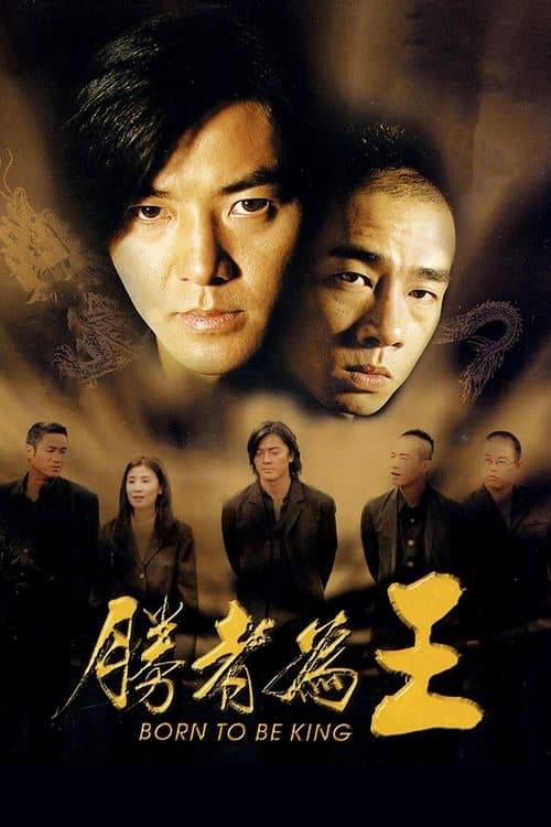 Director's Movie Image