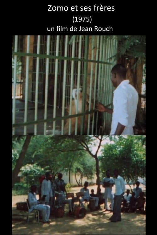 Director's Movie Image