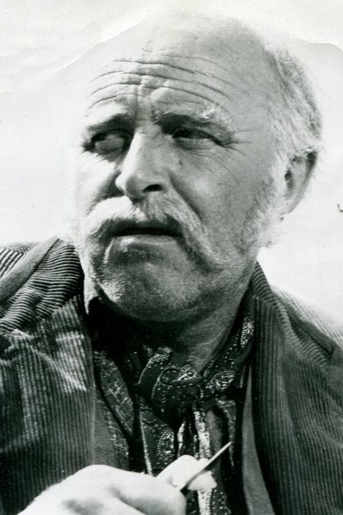 Cast's Movie Image