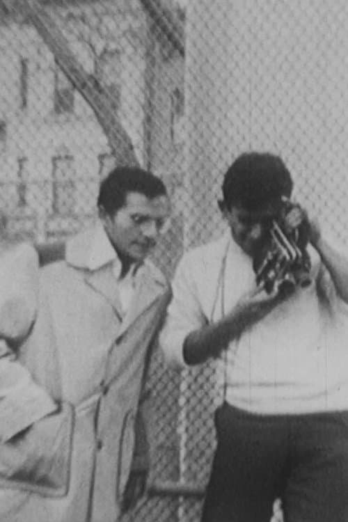 Director's Movie Image