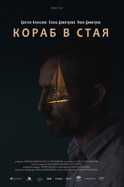 Director's Movie Image