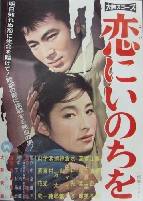 Director's Movie Image