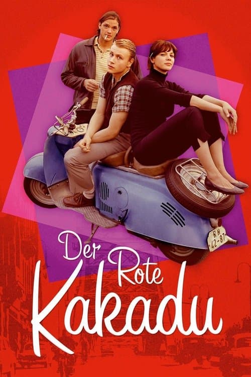 Director's Movie Image