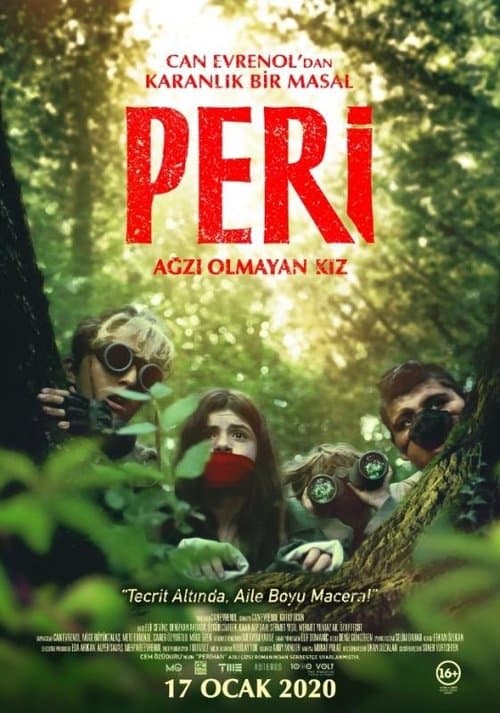 Director's Movie Image