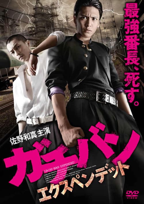 Director's Movie Image