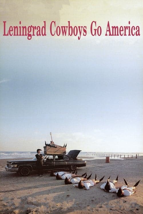 Director's Movie Image