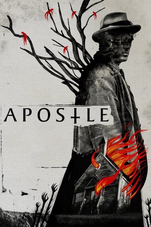 Director's Movie Image