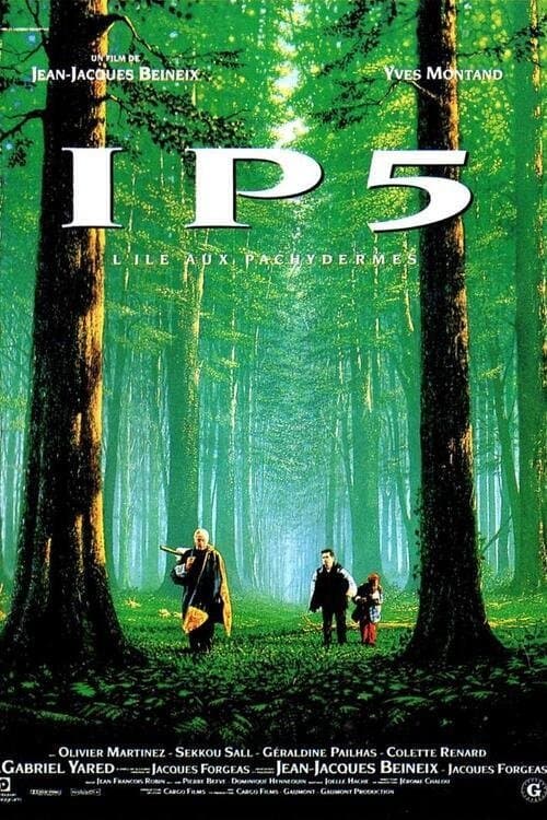 Director's Movie Image