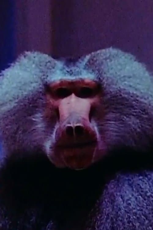 Cast's Movie Image