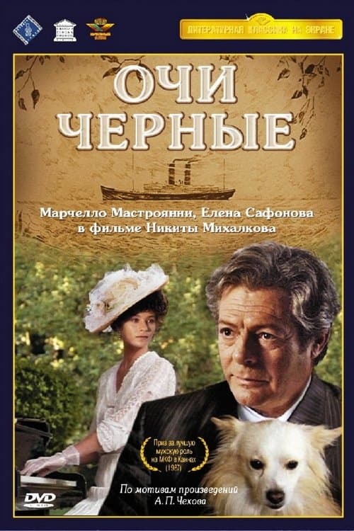 Director's Movie Image