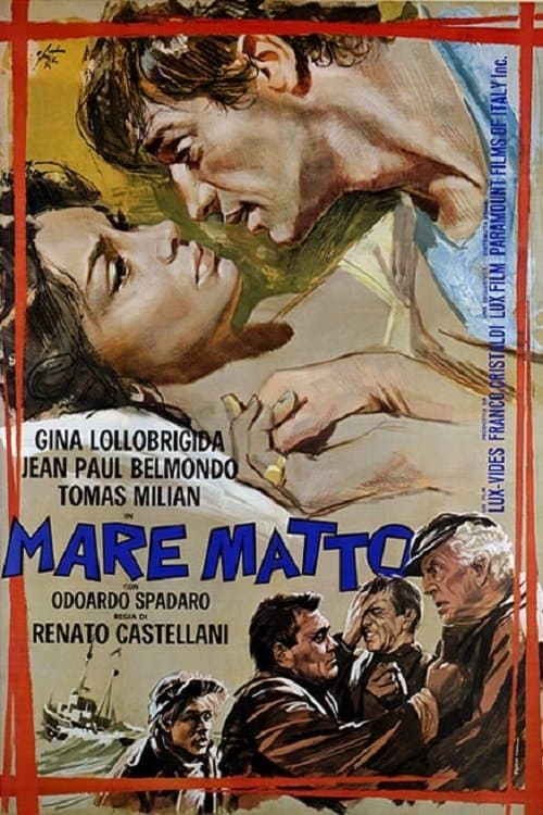 Director's Movie Image