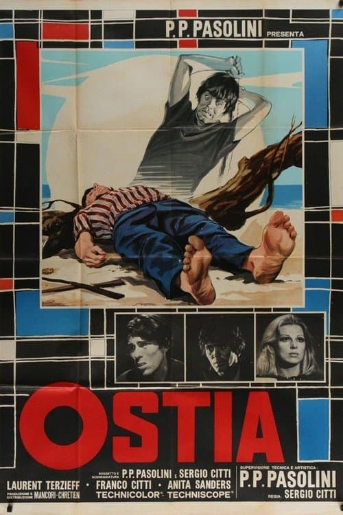 Director's Movie Image
