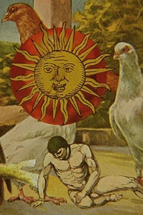 Director's Movie Image