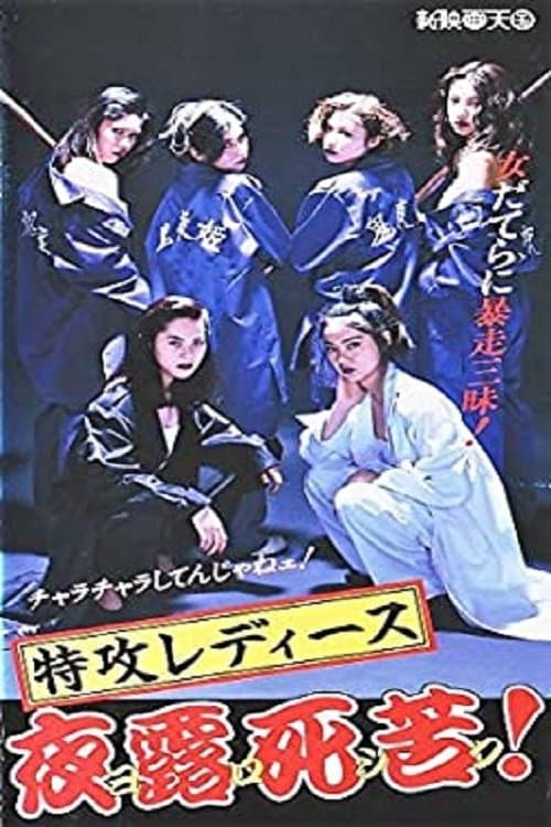 Director's Movie Image