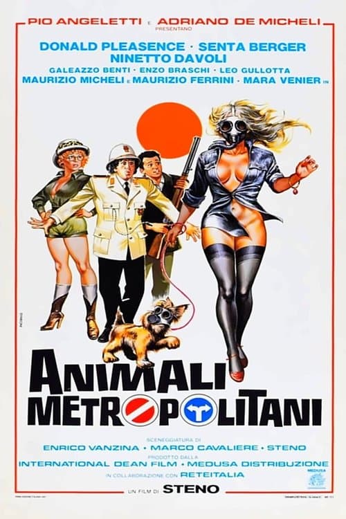 Director's Movie Image