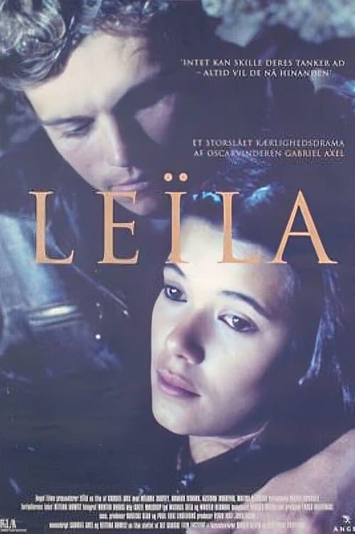 Director's Movie Image