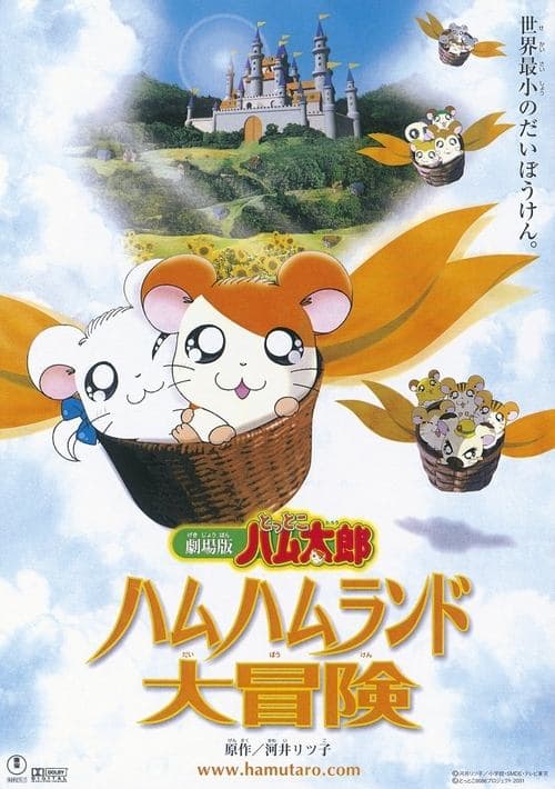 Director's Movie Image