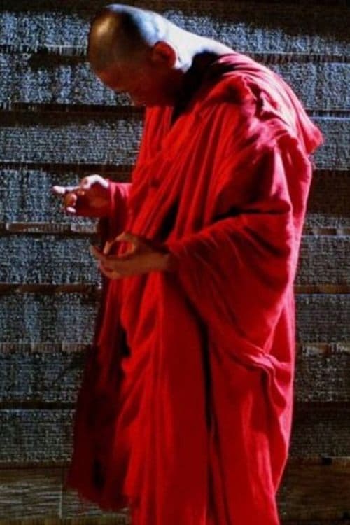 Director's Movie Image