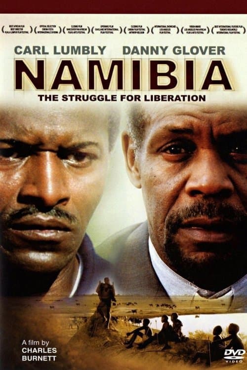 Director's Movie Image
