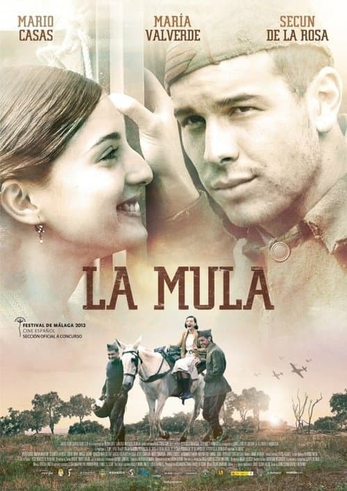 Director's Movie Image