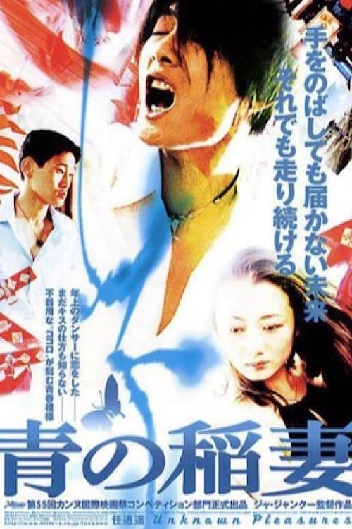 Director's Movie Image