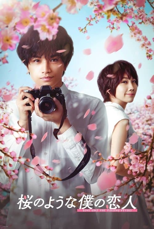 Director's Movie Image