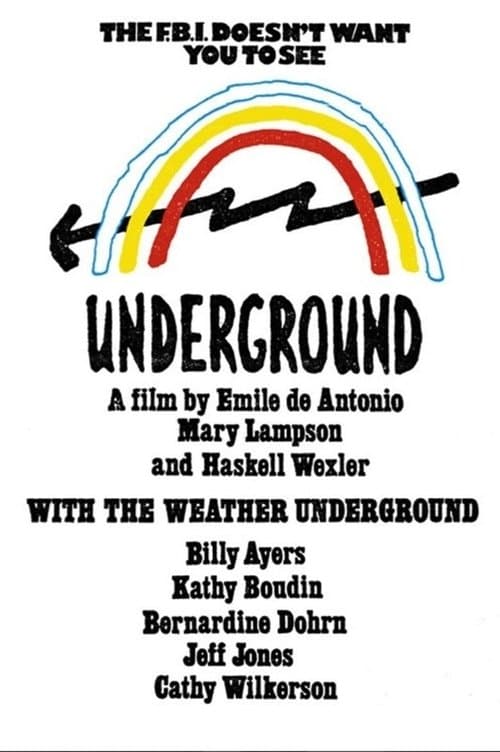 Director's Movie Image