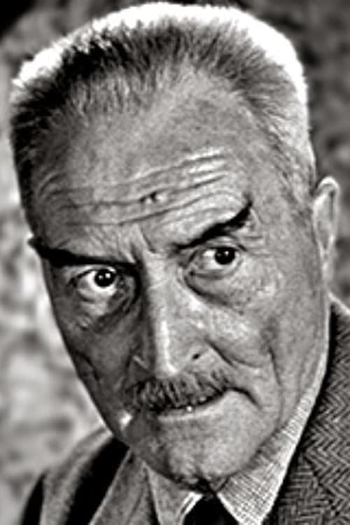 Cast's Movie Image