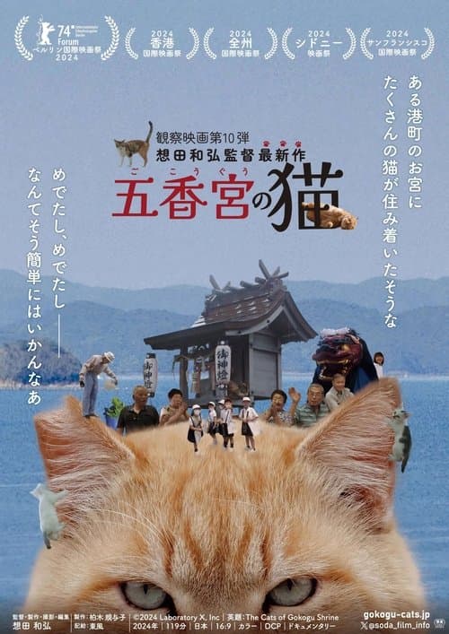 Director's Movie Image