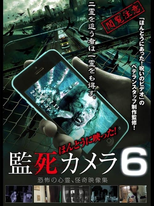 Director's Movie Image