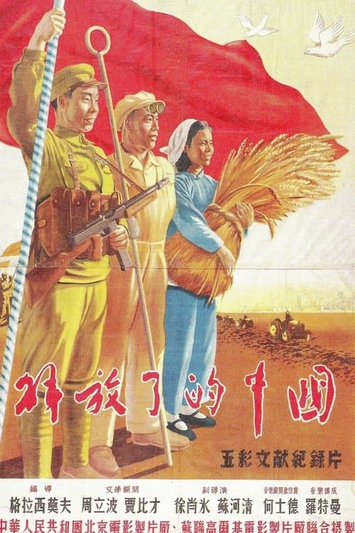 Director's Movie Image