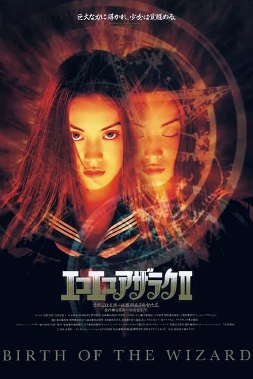 Director's Movie Image
