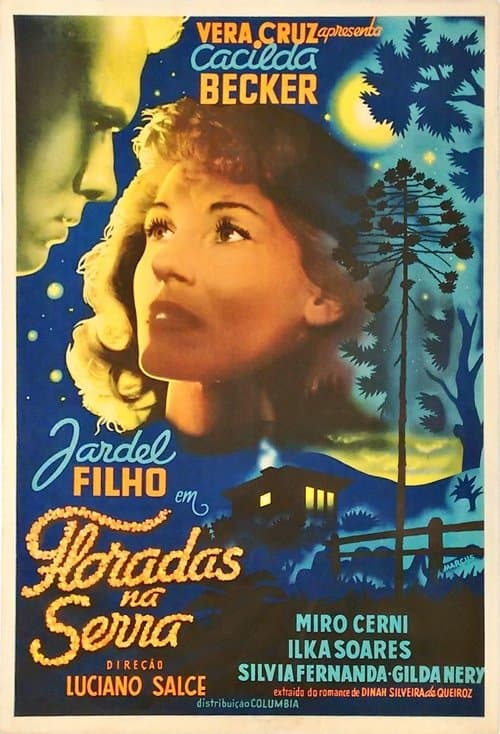 Director's Movie Image