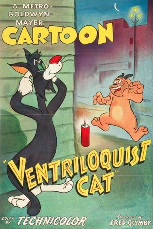 Director's Movie Image