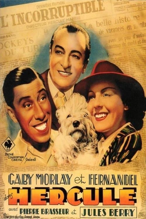Director's Movie Image