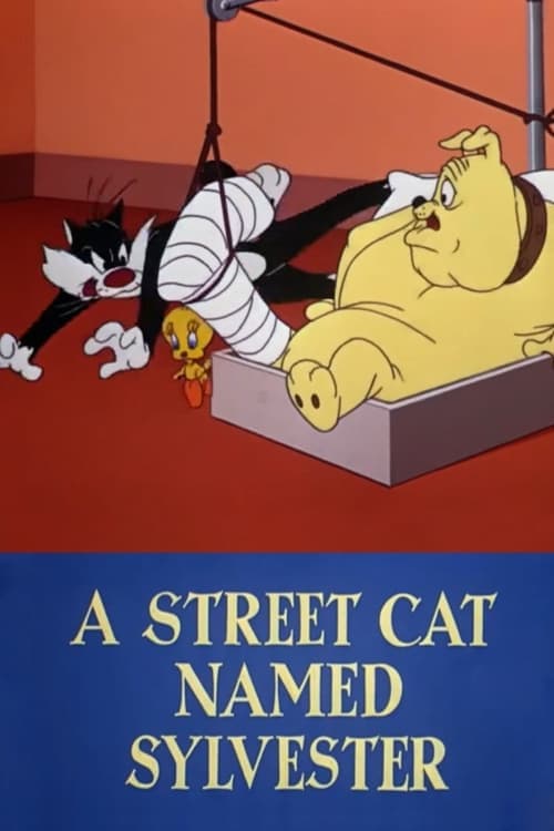 Director's Movie Image
