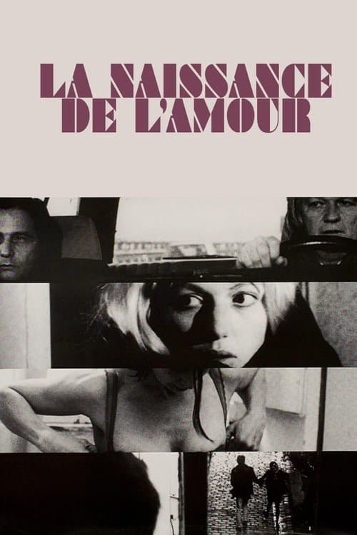 Director's Movie Image