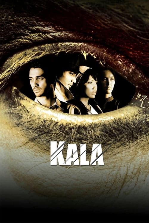 Director's Movie Image