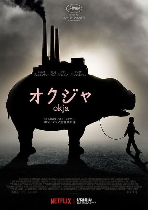 Director's Movie Image