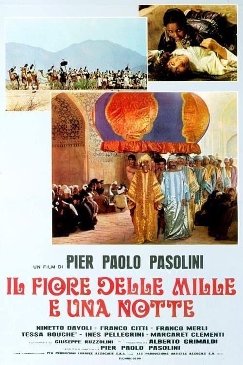 Director's Movie Image