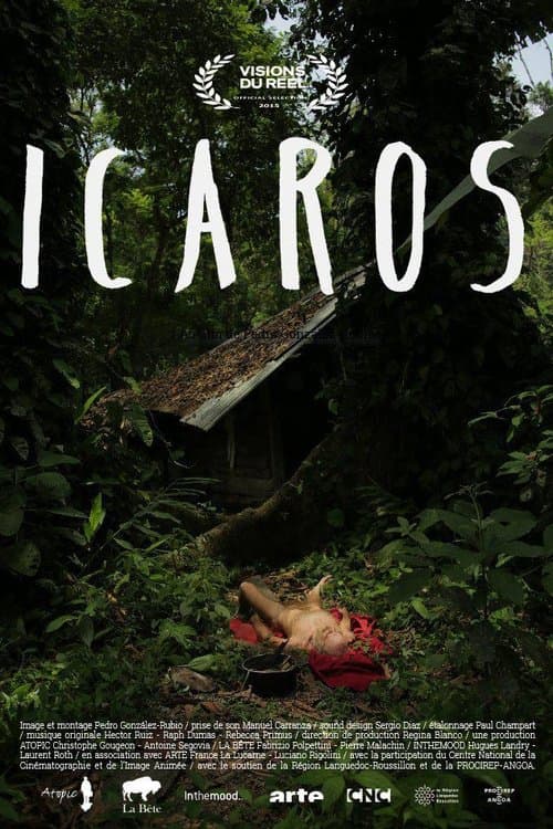 Director's Movie Image