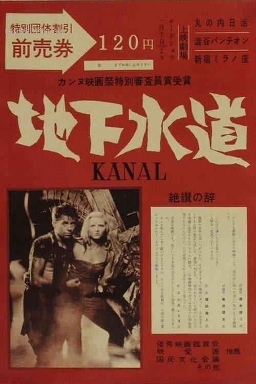 Director's Movie Image