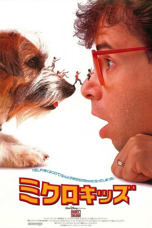 Director's Movie Image
